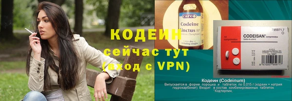 крисы Армянск