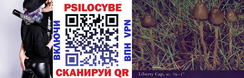 ОМГ ОМГ сайт  купить наркотики сайты  Рассказово  Галлюциногенные грибы MAGIC MUSHROOMS 